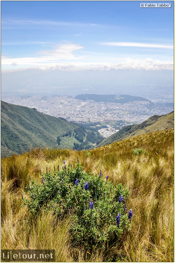 Fabio_s-LifeTour---Ecuador-(2015-February)---Quito---Teleferico---4--Trekking---12391