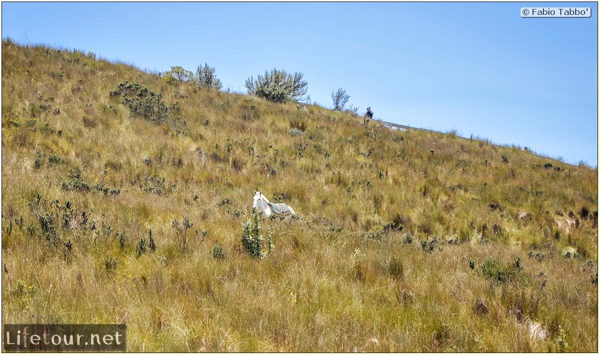 Fabio_s-LifeTour---Ecuador-(2015-February)---Quito---Teleferico---4--Trekking---12399