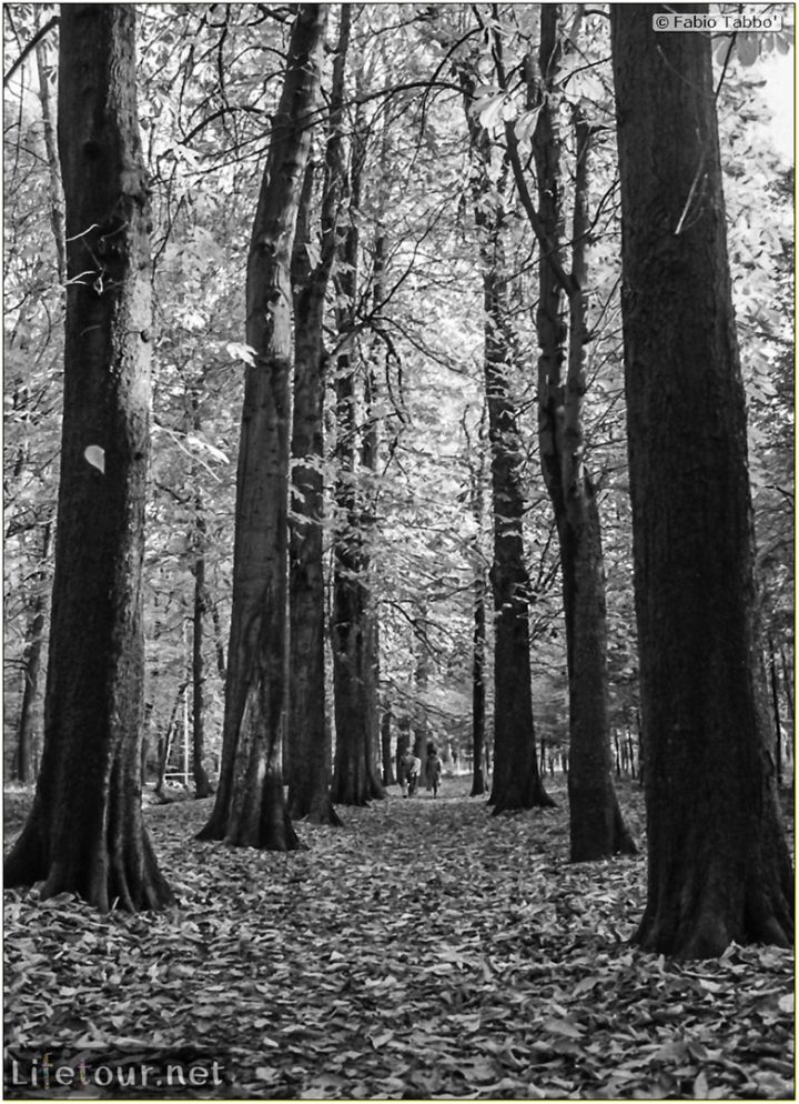 France (1975, 1980, 90s) - Paris - Place des fetes bois de vincennes and Parc de buttes chaumont (1979 November) - 146