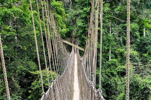 Ghana -Central Region-Kakum National Park-7244 COVER