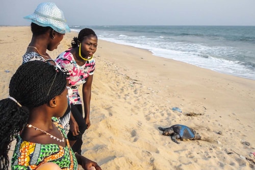 Ghana -Greater Accra-Ada Foah-Beach and turtles sighting-782 COVER