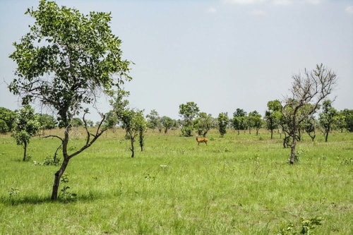 Ghana -Volta Region-Shai Hills-885 COVER