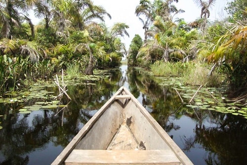 Ghana -Western region-Amansuri-Nzulezu floating village (Nzulezo)-1185 COVER