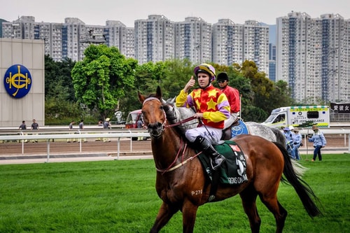 Hong-Kong-Tourism-Sha-Tin-horse-race-5033 COVER