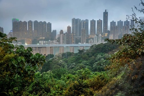 Hong-Kong-Tourism-Victoria-Peak-11286 COVER