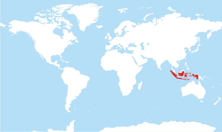 indonesia-location