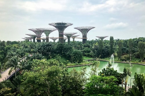 Singapore-Gardens-by-the-Bay-SuperTree-Grove-17833 COVER