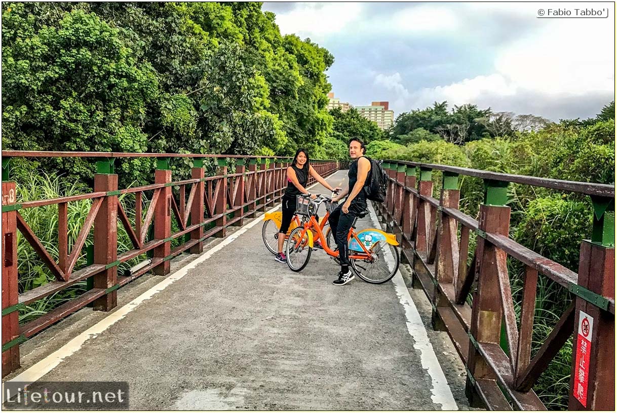 Taiwan 2018-New Taipei City-Hongshulin Mangrove Ecowalk-55