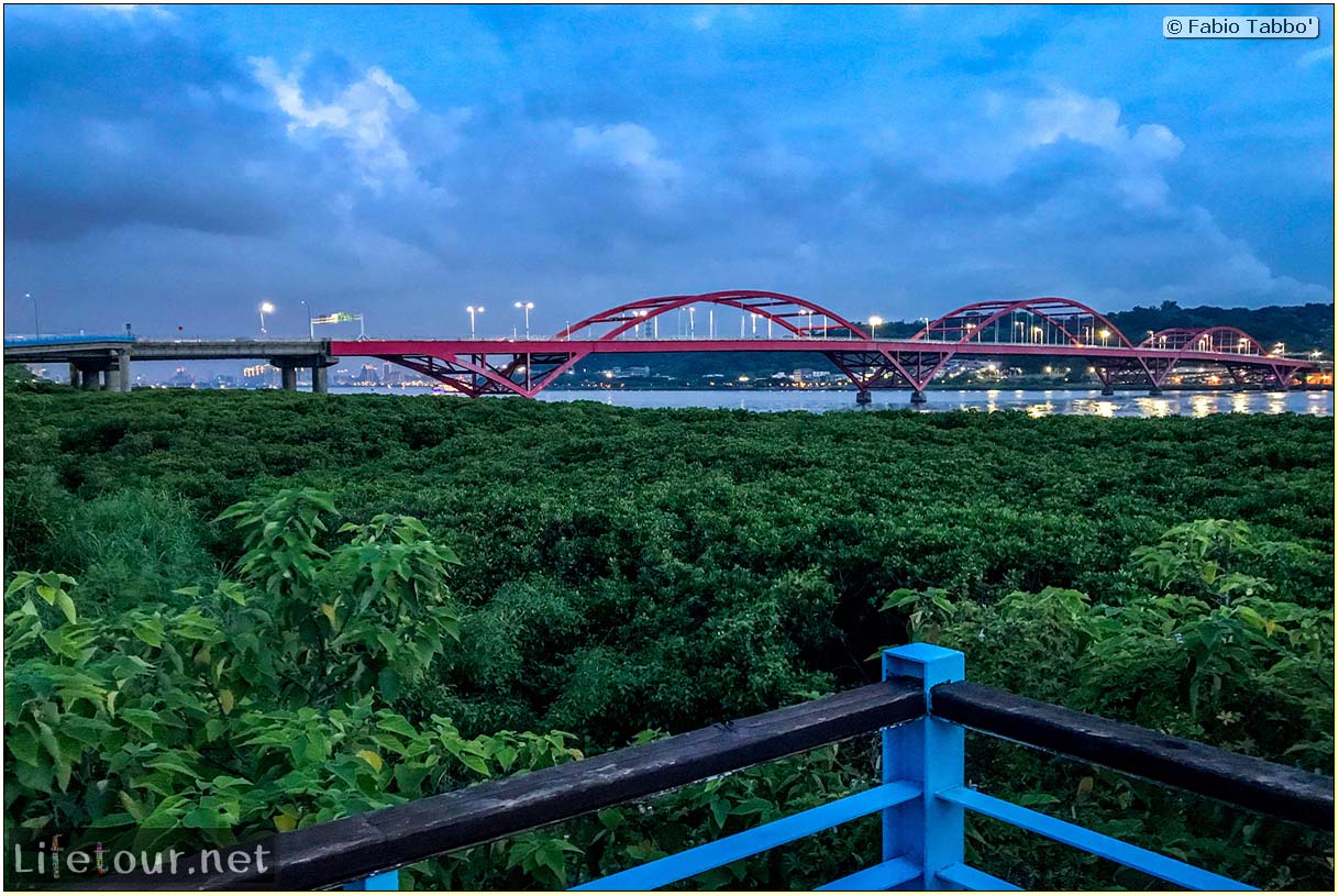 Taiwan 2018-New Taipei City-Hongshulin Mangrove Ecowalk-59