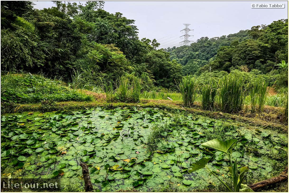 Taiwan 2018-New Taipei City-Maokong Gondola-48