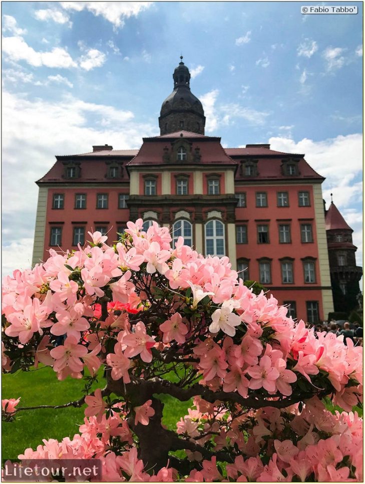 Poland 2019-2020 - Wroclaw 2019 03- - Ksiaz Castle - 7