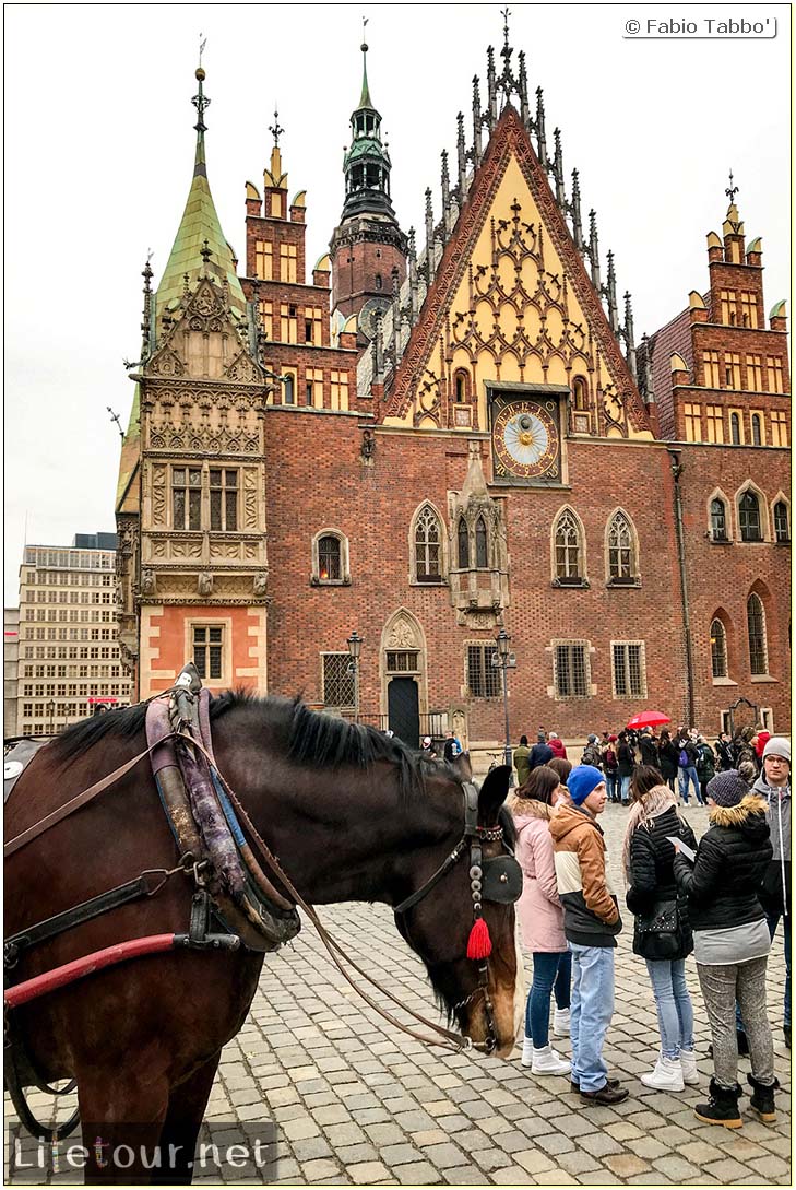 Poland-Wroclaw 2019 03-Rynek (Old Town)-12