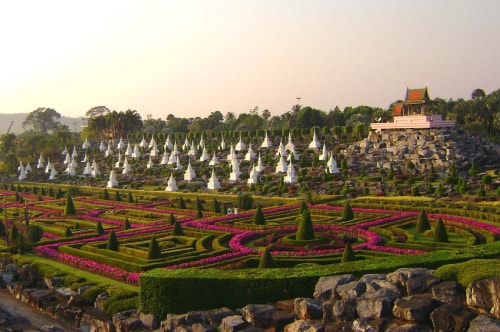 Thailand-pattaya-Tourism-Nong Nooch Tropical Botanical Garden-Botanical Garden-1225 COVER